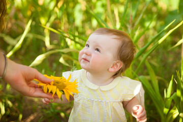 Cute baby girl in a sunflower field