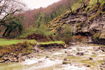 wild river in the countryside of basque country