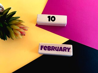 February 10 on wooden cubes on a pink,yellow, black background.Calendar for February .