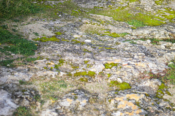Ruins of an ancient Greek city by the sea. Chersonesos. The ancient city. Black Sea.	
