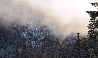 Winter morning mist in the tatra mountains