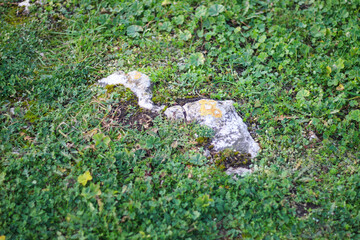 Ruins of an ancient Greek city by the sea. Chersonesos. The ancient city. Black Sea.	
