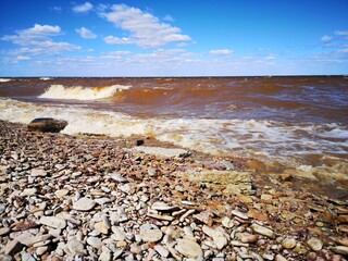Fototapeta na wymiar Southern shore of Lake Ilmen waves pebbles strong wind