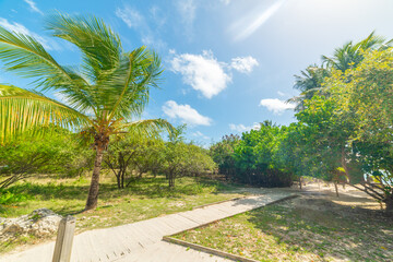 Path to the beach in Guadeloupe