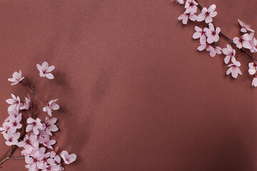 Cherry blossom tree branches on red paper background. Flat lay with spring elements and copy space
