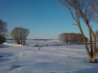 A tree covered in snow travel nature