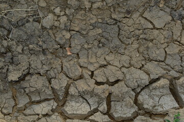 Land cracked by drought