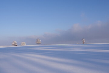 Winter Wonderland with blue sky and clouds and much snow