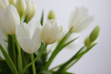White tulips bouquet in vase in room, beautiful flowers present for 8 march, Valentine's day, mother day, birthday. Romance present, decoration for interior in bedroom  
