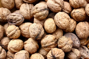 close up of walnuts