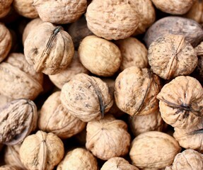 walnuts close up