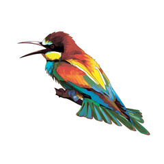 Vector illustration. A bee-eater bird sitting on a branch.