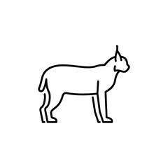 Lynx vector icon. Bobcat illustration. Wild animal sign.