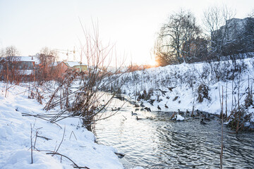 Beautiful park in winter at sunset. There is snow, a river flows on which wild ducks swim.