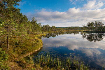 lake with green shores in the forest on a summer day under a cloudy sky