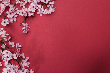 Cherry blossom tree branches on red paper background. Flat lay with spring elements and copy space