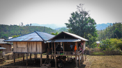 landscape in the village