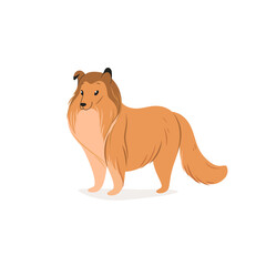 Сollie dog. Cute dog character. Vector illustration in cartoon style for poster, postcard.