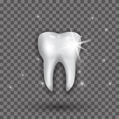 Realistic white tooth with glitter on a transparent background. Isolated 3d vector