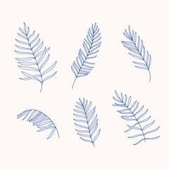 Different types of palm leaves. Contour vector illustration.