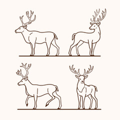 Stag. Wild animal in various poses. Vector illustration for emblem, badge, insignia, postcard.
