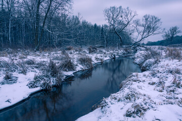 Mala River at winter in Chojnowski landscape park near Konstancin-Jeziorna, Masovia, Poland