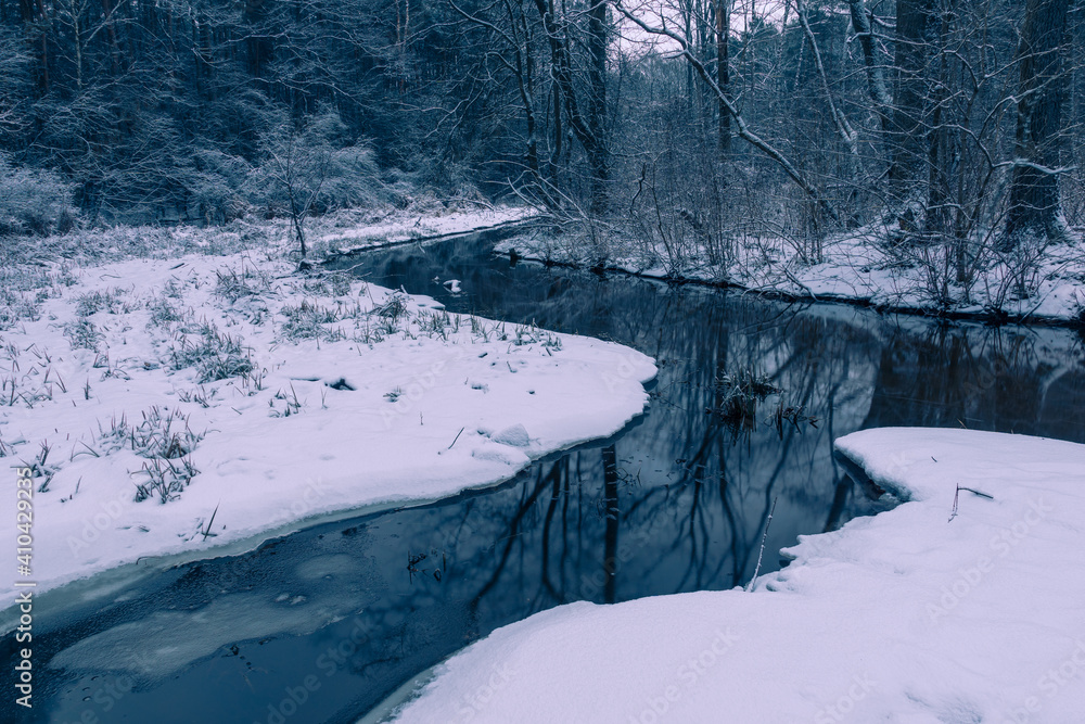 Wall mural Mala River at winter in Chojnowski landscape park near Konstancin-Jeziorna, Masovia, Poland