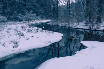 Mala River at winter in Chojnowski landscape park near Konstancin-Jeziorna, Masovia, Poland - 410429235