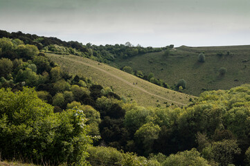 Fototapeta na wymiar Old Winchester Hill in the South Downs National Park, a Hampshire nature reserve.