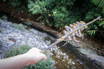 hand with knitting needles