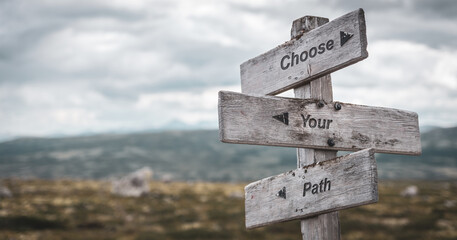 choose your path text engraved on wooden signpost outdoors in nature. Panorama format. - 410431077