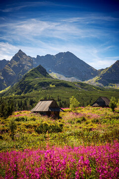 Fototapeta Hala gąsienicową, Koscielec, tatry wysokie, tatry polskie