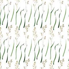 Watercolor seamless pattern with the image of the bluegrass meadow plant