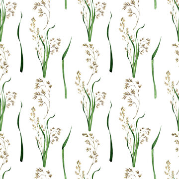 Watercolor Seamless Pattern With The Image Of The Bluegrass Meadow Plant