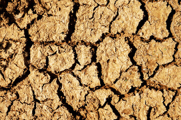 texture of the dry land