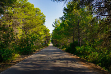 Fototapeta premium The Sichar reservoir in Ribesalbes, Castellon