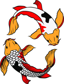 koi fish with isolate and sticker.Japanese koi carp tattoo design.Lucky Chainese animal.