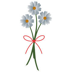 Camomiles. Delicate bouquet of white flowers. Colored vector illustration. Isolated background. Snow-white daisies. Flat style. Flowering plant. Bow decoration. Idea for web design, postcards.
