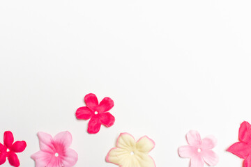 Frame made of rose flowers on white background. Top view with copy space.