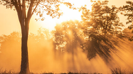 Beautiful landscape image with silhouette sunset, for greeting cards post card.