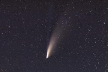C/2020 F3 (NEOWISE)