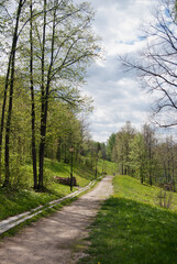 Fototapeta premium Krasnousolsk Health Resort. Walking path on the territory of the sanatorium.