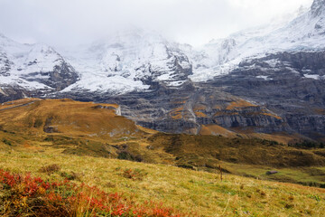 View of Landscape snow alp mountain in nature and environment at swiss from train down hill jungfrau mountain