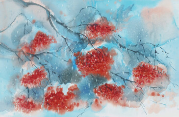 Rowan tree branches and berries in snow. Christmas watercolor