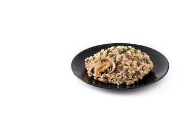 Risotto with mushroom isolated on white background. Copy space