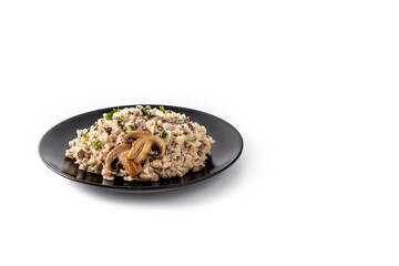 Risotto with mushroom isolated on white background. Copy space