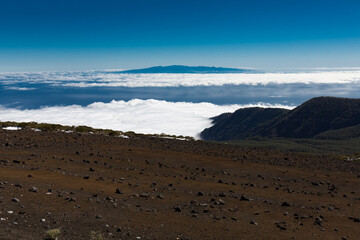 Iles Canaries, Ténérife, Espagne