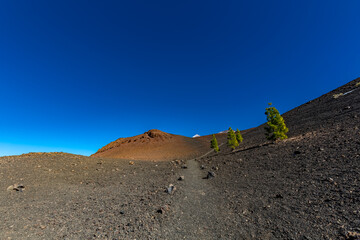 Iles Canaries, Ténérife, Espagne