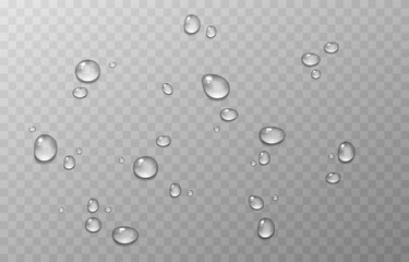 Vector water drops. PNG drops, condensation on the window, on the surface. Realistic drops on an isolated transparent background. - obrazy, fototapety, plakaty