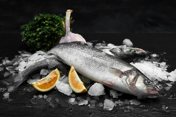 Raw fresh organic dorado or sea bream with lemon on ice cubes over black slate, stone or concrete background.